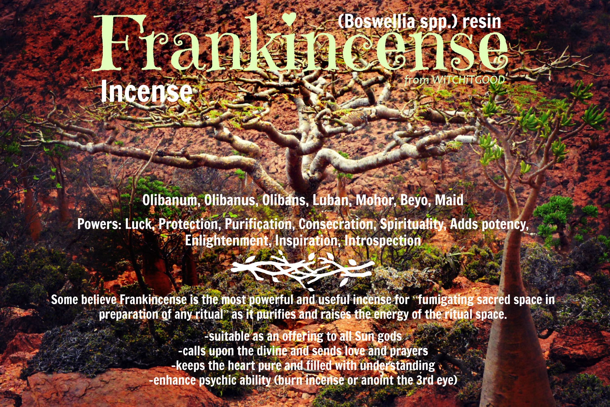 The Magic of Frankincense - Atheona's Stillpoint - Witch It Good